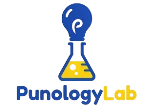 Punologylab.com